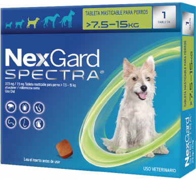 Antipulgas para perros Nexgard Spectra para perros entre 7.5kg y 15kg Antipulgas para perros Nexgard Spectra para perros entre 7.5kg y 15kg